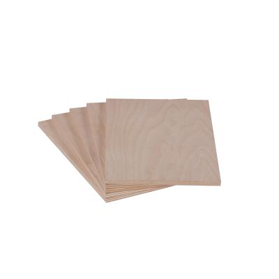 China Hotel Birch Plywood 9mm FSC JAS PS PS TS For House Wall Melamine Plywood Panel for sale