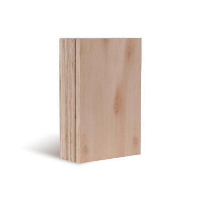 China Waterproof Eucalyptus 15mm 910X1820 FSC JAS PS TS D&D High Grade Contemporary Exterior Plywood All Eucalyptus Plywood for sale