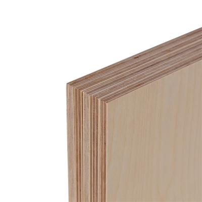 China Hotel Birch Plywood 9mm FSC JAS PS TS BC or CD 5PLY For House Wall Plywood Sheet for sale