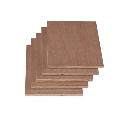 China 18mm Navy plywood bb-8 panel BB/BB FSC CE hardwood plywood plywood contemporary phenolic sheet for sale