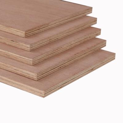 China 12mm Modern 4X8 Marine Plywood Sheet BB/BB Keruing Face Eucalyptus Core E0 Anti-water Marine Plywood for sale