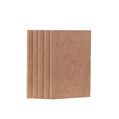 China 18mm Modern Marine Plywood Sheet BB/BB Keruing Face Eucalyptus Cor E0 Water Proof For Decking Use for sale