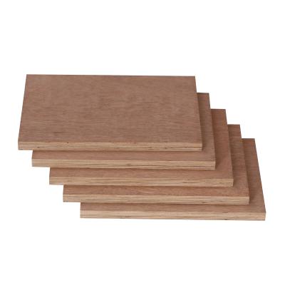 China Modern Marine Plywood Sheet BB/BB Keruing Face Eucalyptus E0 Waterproof 18 Mm Plywood for sale