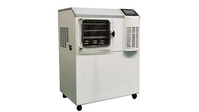 China Home Freeze Dryer for sale