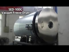 Freeze Drying Machine