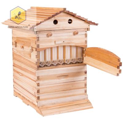 China Unmounted Bee Farm Wax-Coated Pine Beehive Beekeeping Beekeeping Equipment Automatic Self-Overflowing Beehive Beekeeping Equipment Box Tool Hive for sale