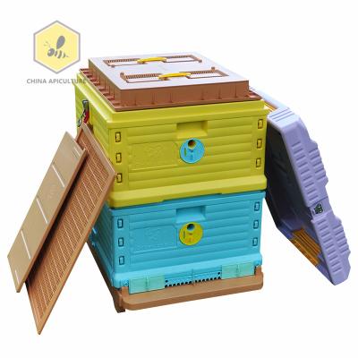 China Newest Bee Farm Beekeeping Equipment Hive Beekeeping Equipment Plastic Thermo Bee Hive 10 Frames for sale