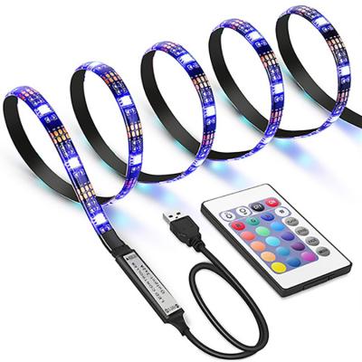 China Residence 2~3M 5050USB RGB Remote Control Waterproof Neon Belt is Suitable for Party Decoration Mood Lights for sale