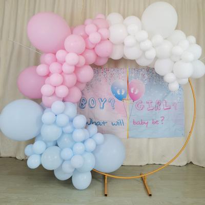 China Party Decorations 18 inch 10 inch 5 inch Pastel Blue and Pink Balloon Garland Kit 128 pcs for sale