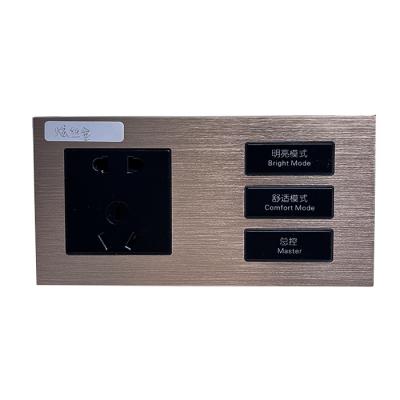 China Single 2 Connection Vertical Panel Aluminum Plate All In One 12V DC RS485 Modbus Hotel Socket And Switch for sale