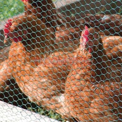 China Hexagonal Fence Chicken Wire Mesh/Hexagonal Wire Netting/Chicken Wire Mesh for sale