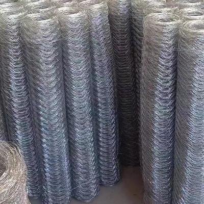 China Galvanized Poultry Hexagonal Wire Netting Fence Factory With Cheaper Price for sale