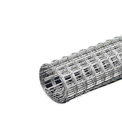 China Fence Welded Wire Mesh Manufacturer Direct Welded Wire Mesh Galvanized Welded Wire Mesh Rolls Good Price for sale