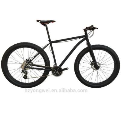 China Best Hot Selling Cr-Mo Best Big Fat Bike 29*3.0