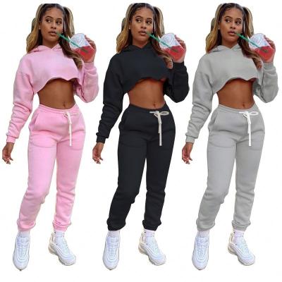 China Best Selling Breathable Women Sweatsuit Hoodie Sets For Women Casual Tracksuit Women for sale