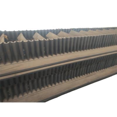 China Apron Ladder Teeth Industrial Conveyor Belt 500-3000N/mm Tensile Strength for sale