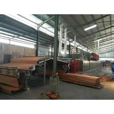 China Factory Supplier Firewood Veneer Kiln Wood Mesh Type Dryer Machine For Wood for sale