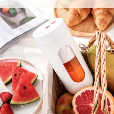 China 2021 New Product Pure Copper Ideas Portable Blender Mini Rechargeable Home Appliances Fruit Blender 300ml Motor for sale