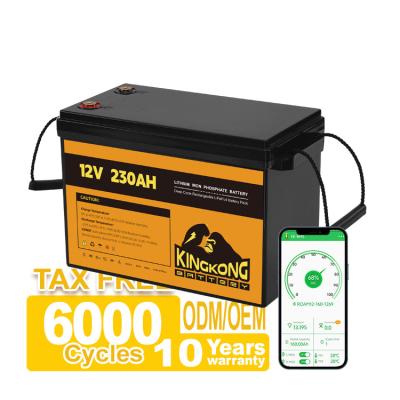 Cina Strumenti elettrici OEM ODM 12.8V 100ah 200ah 300ah Batteria al litio 12V Con controllo APP in vendita