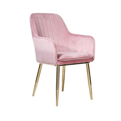 China Velvet Cooling Pink Chair With White Leather Black Gold Legs 4 Legs Fabric Orange Contemporary Nordic Modern Dining Set for sale