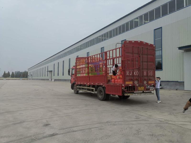 Verified China supplier - Cangzhou Mi Te Food Co., Ltd.