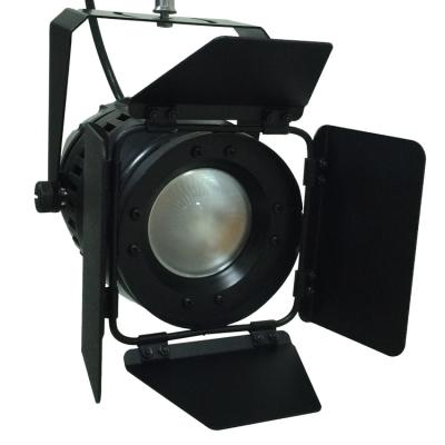 China PVC 60W LED Studio Fresnel Spotlight Track Museum Light for sale