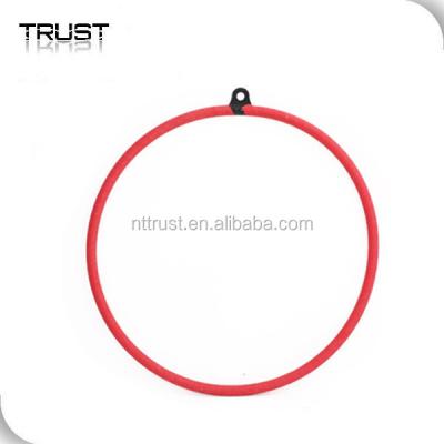 China Pole Lyra Steel Circle Steel Dance Aerial Aerial Ring for sale