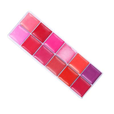 China Waterproof Lipstick With Pigment 15 Colors Lipstick Palette High Matte And Moisture Lipstick Tube Set for sale