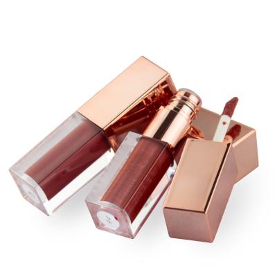 China Waterproof 6 Color Lip Gloss Liquid Matte Lipstick Makeup for sale