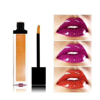 China Waterproof Lasting Lip Gloss Stretching Success Lip Gloss No Logo Set Matt Glitter Lipgloss Liquid Lipstick for sale