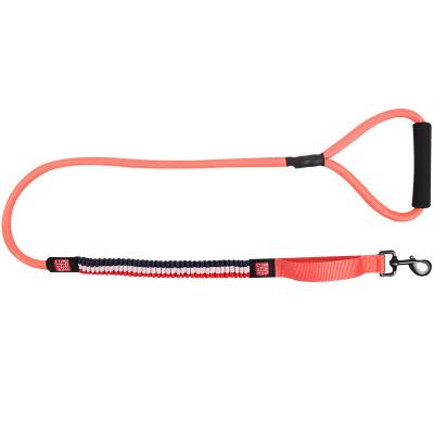 China Technology Manufacture Training Dog Leash Personalized High End Dog Going Out On Leash for sale