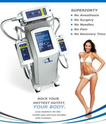 China Weight Loss Beijing Sincoheren 3 Handles Cellulite Removal Coolplas Machine for sale