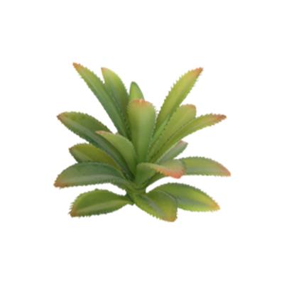 China Art Decor Wholesale New Arrivals Home Decor Multiple Size Flower Leaves Artificial Plastic Succulent Factory for sale