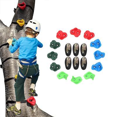 China Climbing Kids 12Pcs Obstacle Course Training Tree Holds With 6 Ratchet Straps for sale