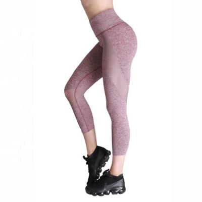 China Antibacterial OEM Compound High Waist Women's Push Up Gym Fitness Leggings Mesh Patchwork Tights for sale