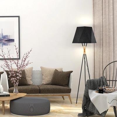 China Lighting Functions Geometry Table Nordic Modern Simple Standing Luxury Black Bedside Reading Floor Lamp For Living Room for sale