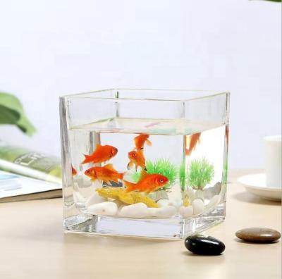 China Multi-funtion Classic Square Glass Vase Home Decoration Small Popular Hot Selling Flower Glass Jar Candle Shape Fish Tank for sale