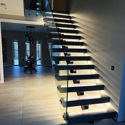 China Modern villa stair lights system stair lights system straight design luminescent led riser steel spine steel thorn riser open staircase for sale