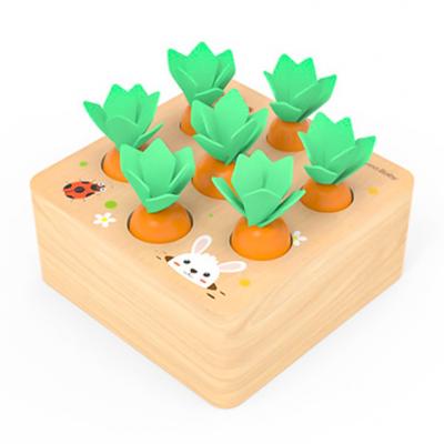 China Toy Hight Quality Wood Educational Toy Funny Montessori Educational Kids Wooden Toys For Kid for sale