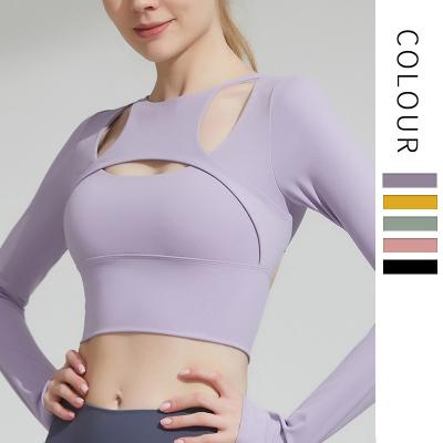 China Breathable Workout T-shirt Gymwear Breathable Athletic Women Long Sleeve Running Shirts With Thumb Notches for sale