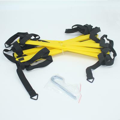 China Portable Wholesale Set Customized Fitness Sport Speed ​​Agility Ladder Training Equipment for sale