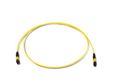 China IL 0.70dB  MPO/MTP SM Fiber Optic Patch Cords for sale