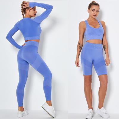 China Breathable New Arrival Hot Sale Fitness And Yoga Wear Seamless Jogger Set Solid Color 4 Piece Yoga Set Sportswear for sale