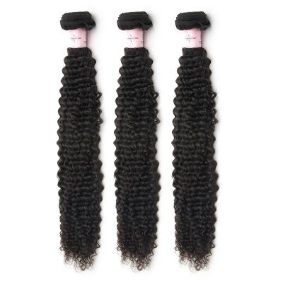 China Curly Curly Hair Extensions South Africa Bulk Wigs For Men Permanent Afro Kinky Curly Human Dreadlocks Extension Germany Peruvians for sale