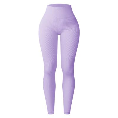 China Breathable Seamless Ribbed Sports Legging fitness seamless legging gym seamless legging for sale