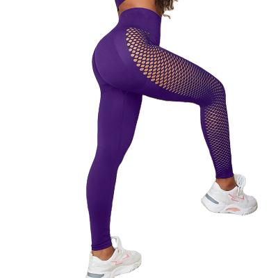 China Breathable OEM custom logo Seamless Sports butt lifting mesh Legging mesh push up legging activewear for sale