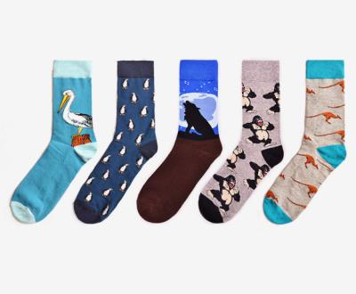 China Mens Breathable Animal Themed Funny Fashion Cotton Crew Socks Calcetas Happy Stocks Socks for sale