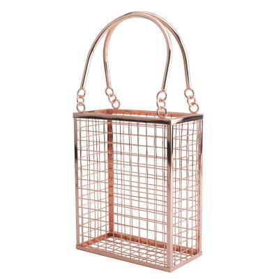 China 100% Eco-friendly Unique Vertical Clutch Handbag Birdcage Metal Fashion Bridal Evening Clutch Bags for sale