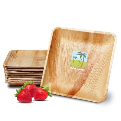 China Hot Selling Disposable Compostable Natural Leaf 10 Inch Palm Leaf Dishes for sale