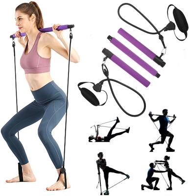 China Removable Gym Portable Home Workout Design Pilates Bar Kit With Resistance for sale